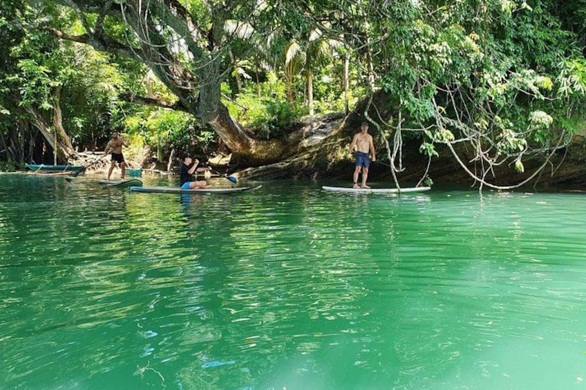 Bohol Countryside Tour: Chocolate Hills, Tarsier and Loboc River 4