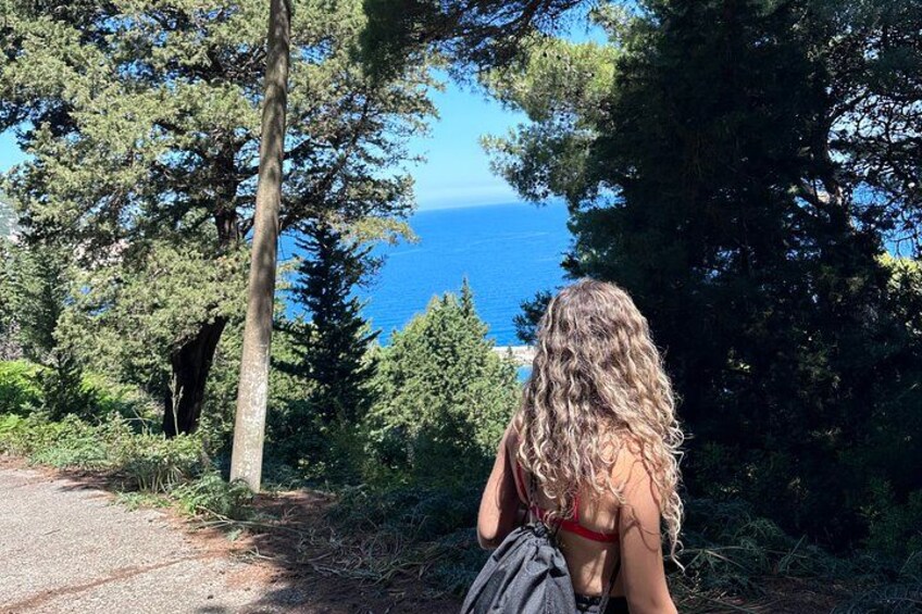 Vlore Speedboat Tour to Sazan Island & Haxhi Ali Cave 5