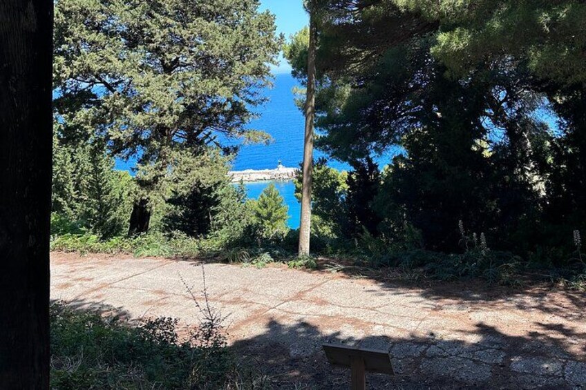 Ein Feldweg führt zu einer Bank, umgeben von Bäumen und mit Blick auf ein Gewässer mit einem Steg. 3