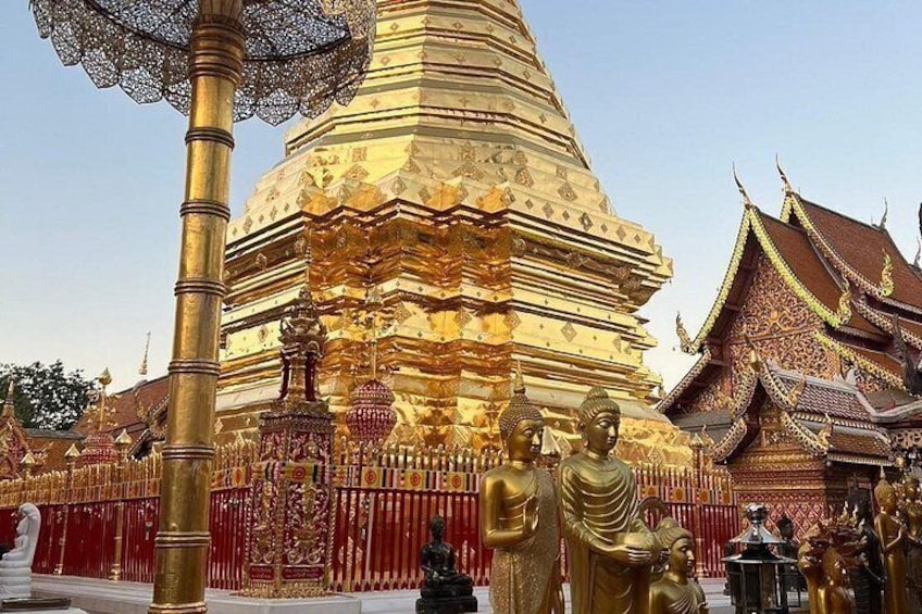 Chiang Mai - Doi Suthep Temple & Wat Pha Lat Hike 5