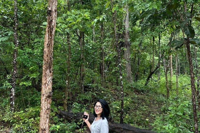Chiang Mai - Doi Suthep Temple & Wat Pha Lat Hike 2