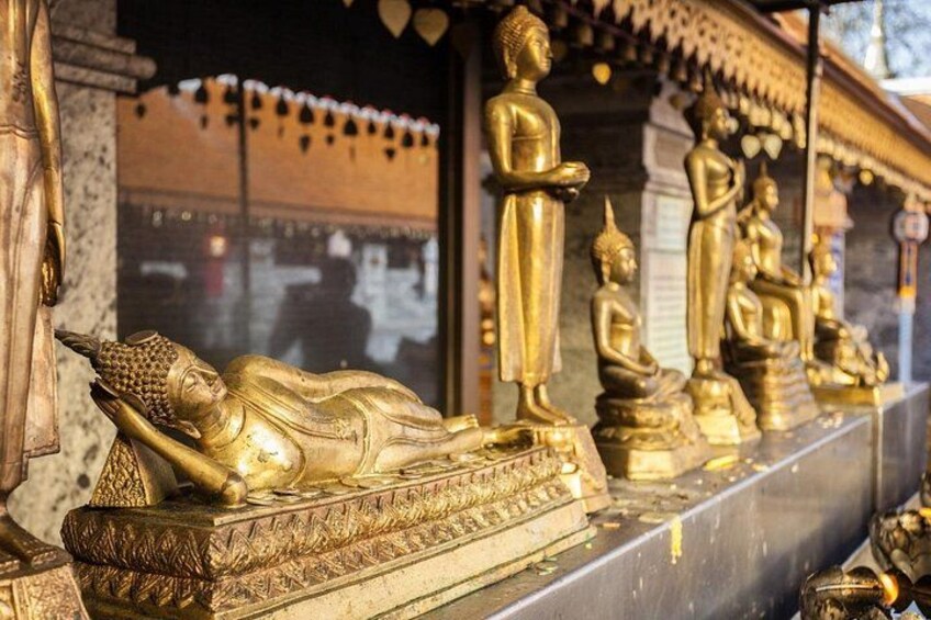 Chiang Mai - Doi Suthep Temple & Wat Pha Lat Hike 3