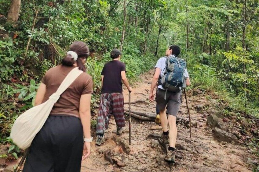 Chiang Mai - Doi Suthep Temple & Wat Pha Lat Hike 2