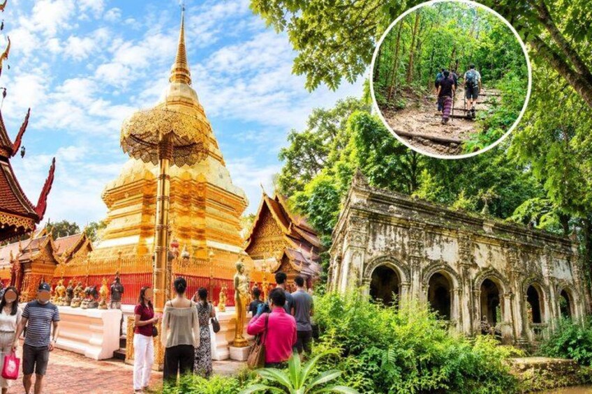 Chiang Mai - Doi Suthep Temple & Wat Pha Lat Hike 1