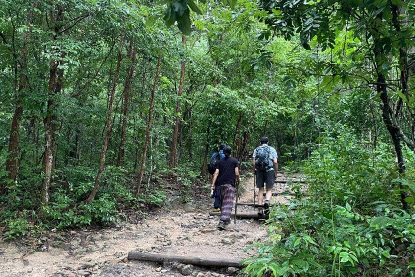 Chiang Mai - Doi Suthep Temple & Wat Pha Lat Hike 4