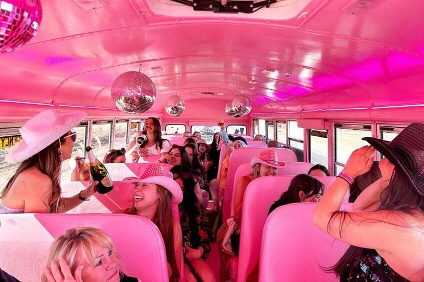 Half-Day Fredericksburg Bubbly Booze Night Bus Guided Experience 2