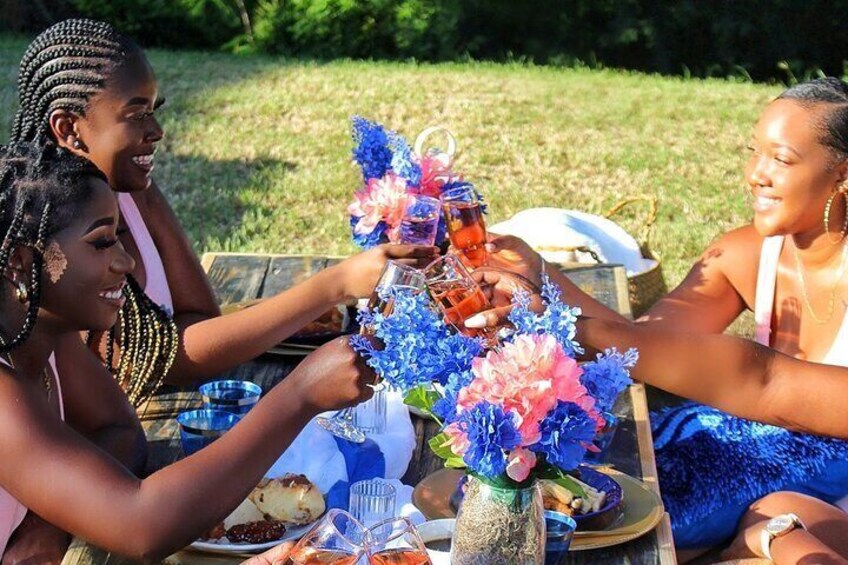 Luxury Private Picnic with Caribbean Cuisine 