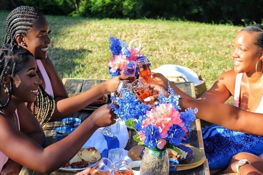 Luxury Private Picnic with Caribbean Cuisine 