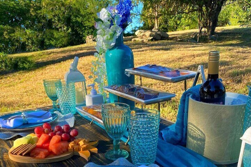 Luxury Private Picnic with Caribbean Cuisine 