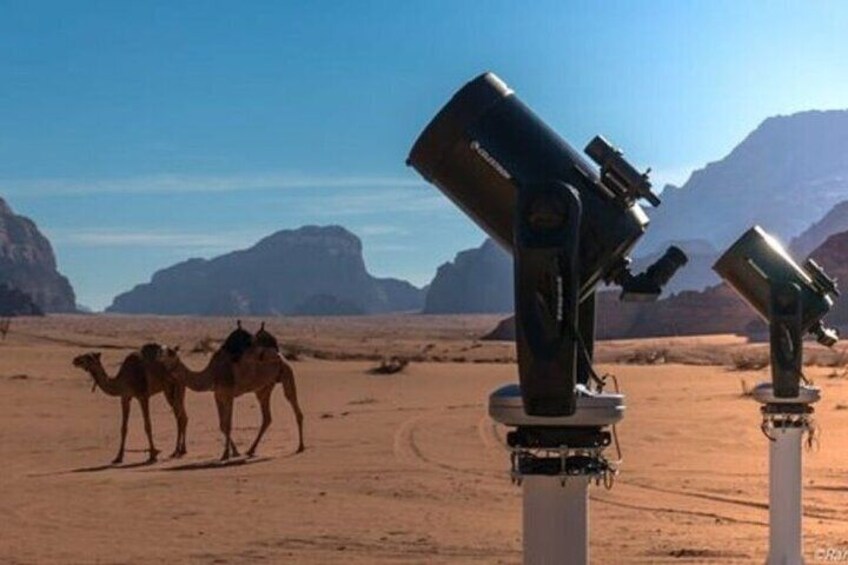 Desert Stargazing Adventure with BBQ Dinner from Sharm El Sheikh