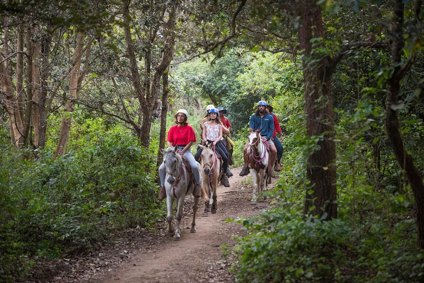 Picture 6 for Activity Horseback Riding Tour to the Oropendola Waterfall 3