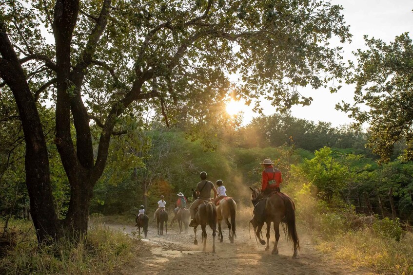 Picture 8 for Activity Horseback Riding Tour to the Oropendola Waterfall 4