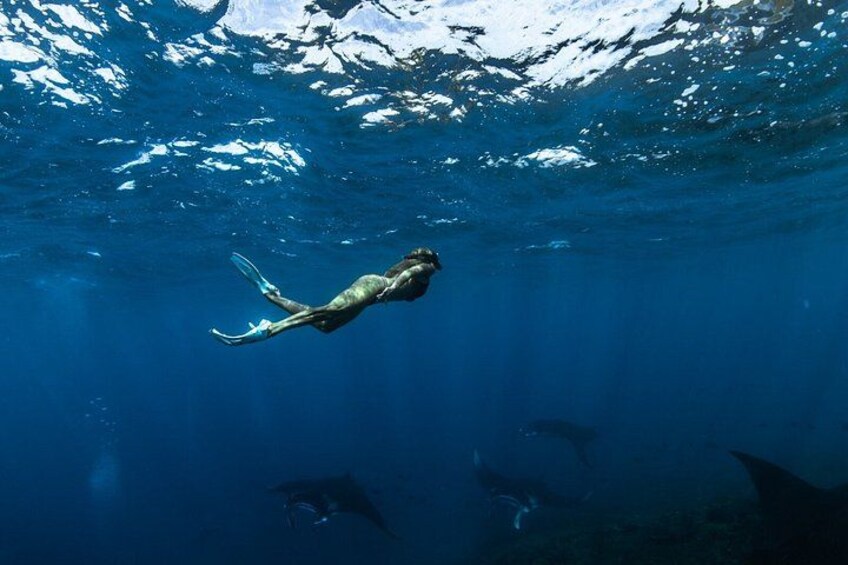 A diver swimming underwater with a mountainous landscape above. 4