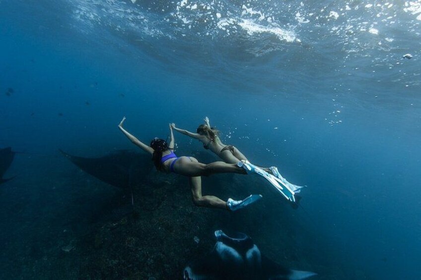 Bali to Nusa Penida Premium Private Full Day Tour All Inclusive 4