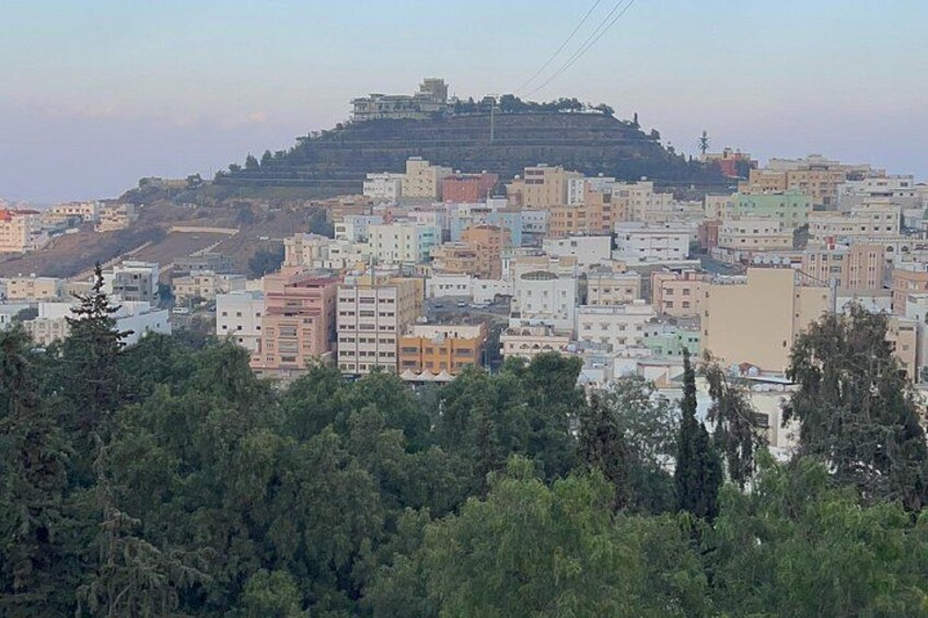 A cityscape with buildings, a hill with a structure on top, and dense greenery in the foreground. 1