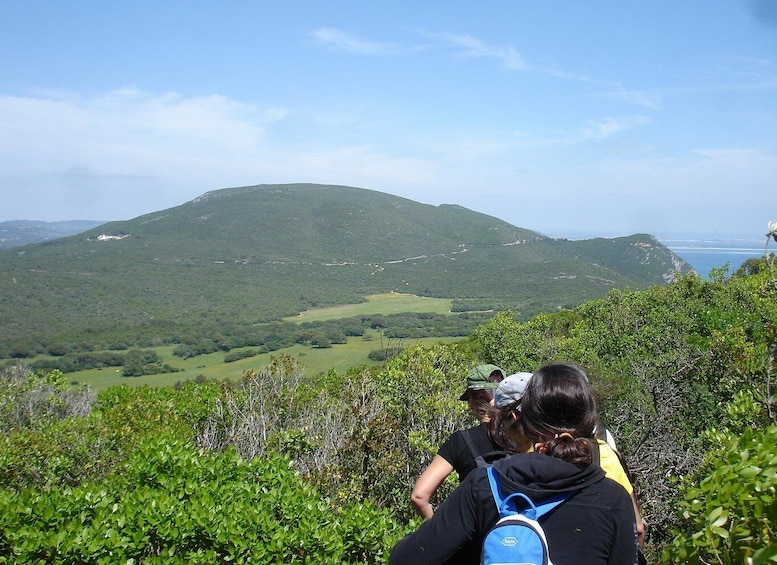 Hiking in Arrábida Natural Park 2