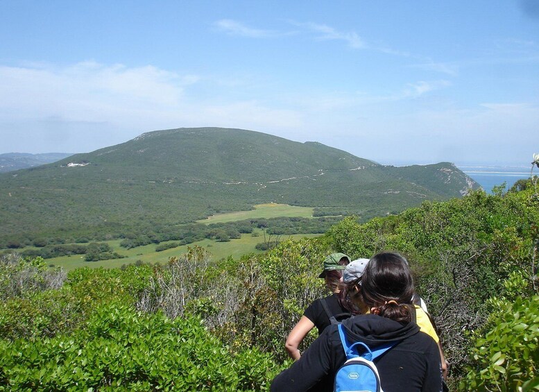 Hiking in Arrábida Natural Park 2