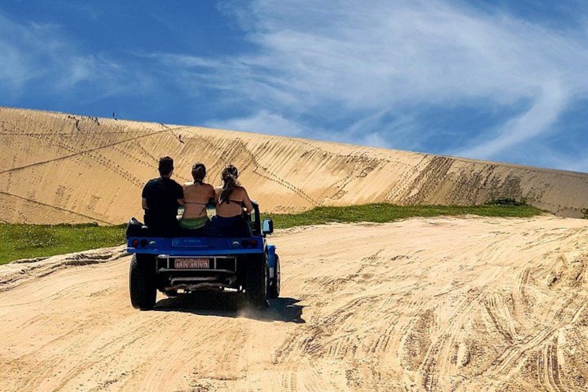 Buggy's ride 4