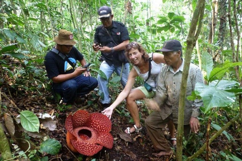Rafflesia Rainforest Reserve Tour From Kota Kinabalu 5