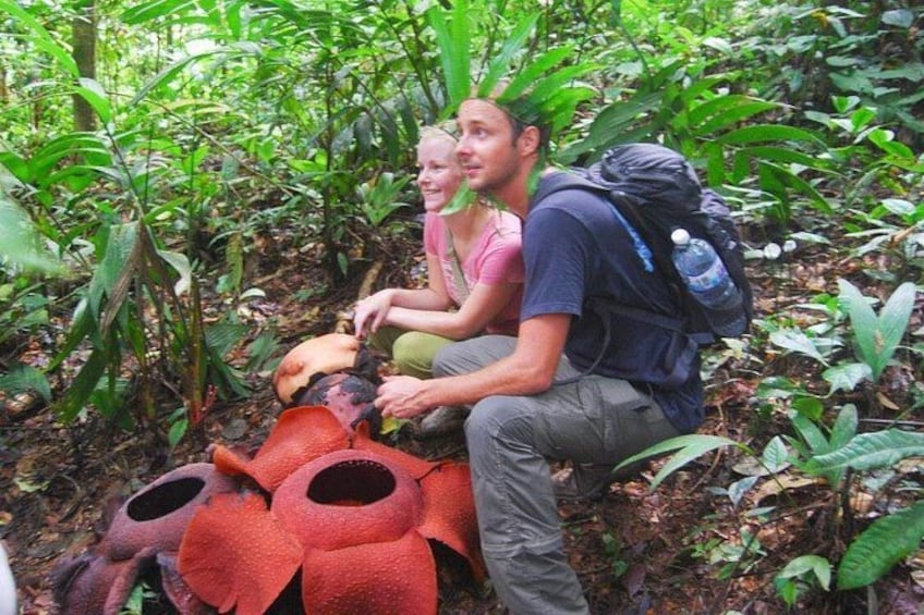 Rafflesia Rainforest Reserve Tour From Kota Kinabalu 3