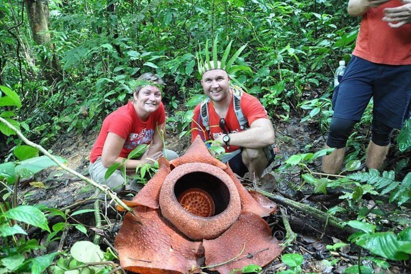 Rafflesia Rainforest Reserve Tour From Kota Kinabalu 1