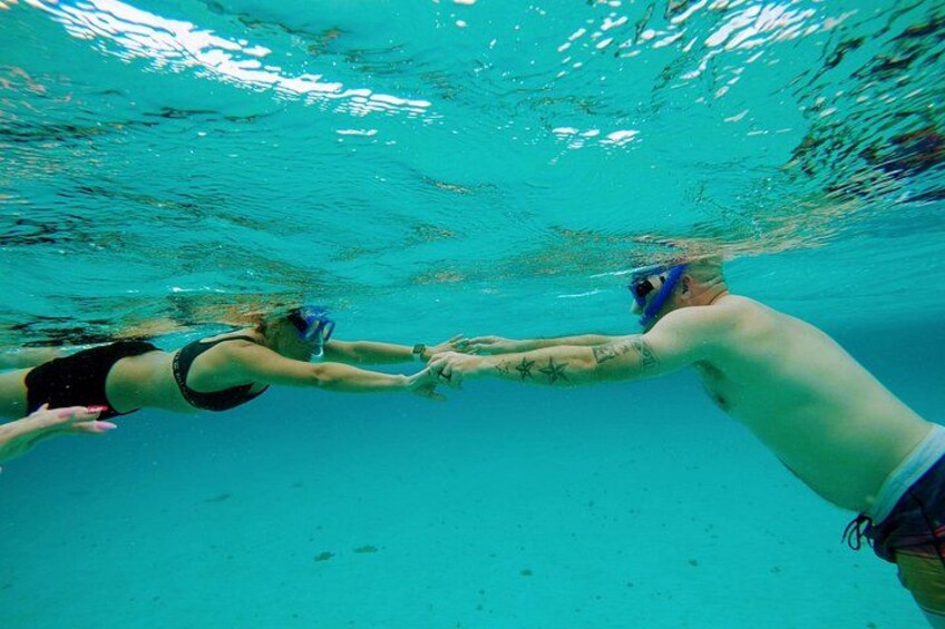 Starfish, Stingrays and the Cozumel Turtle Sanctuary Snorkel Tour 5