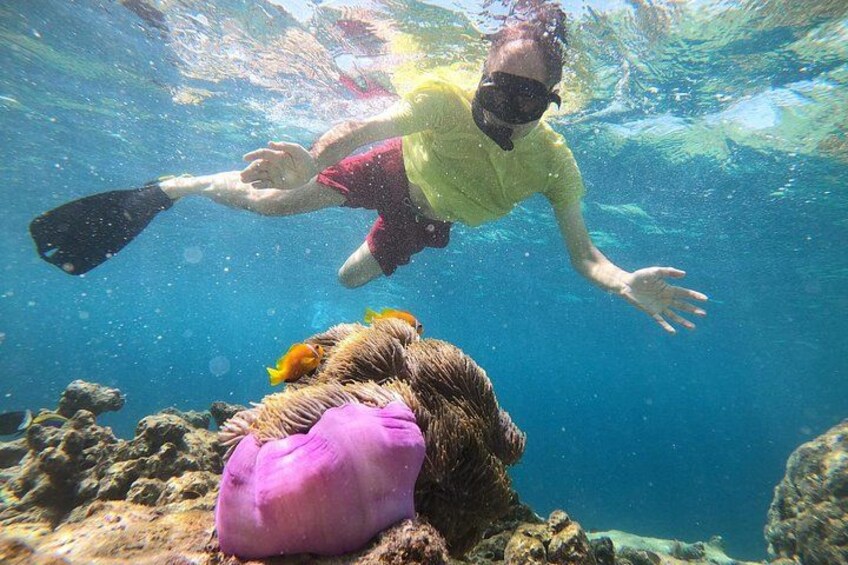 A person snorkeling underwater with a pink object nearby. 2