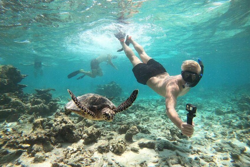 Una persona practica snorkel bajo el agua con una cámara, una tortuga marina y arrecifes de coral. 5