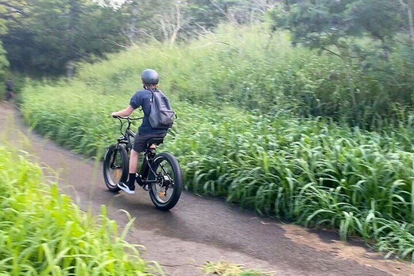 A person riding a bicycle on a narrow path surrounded by lush greenery. 4
