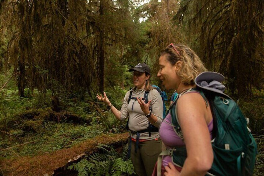 Full-Day Small Group Hiking Tour of Olympic National Park with Pick Up 4