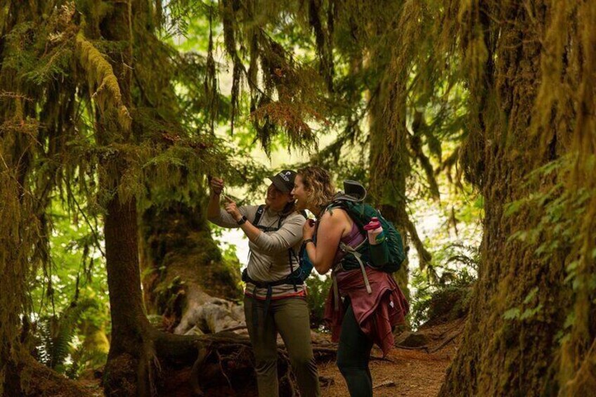 Full-Day Small Group Hiking Tour of Olympic National Park with Pick Up 2