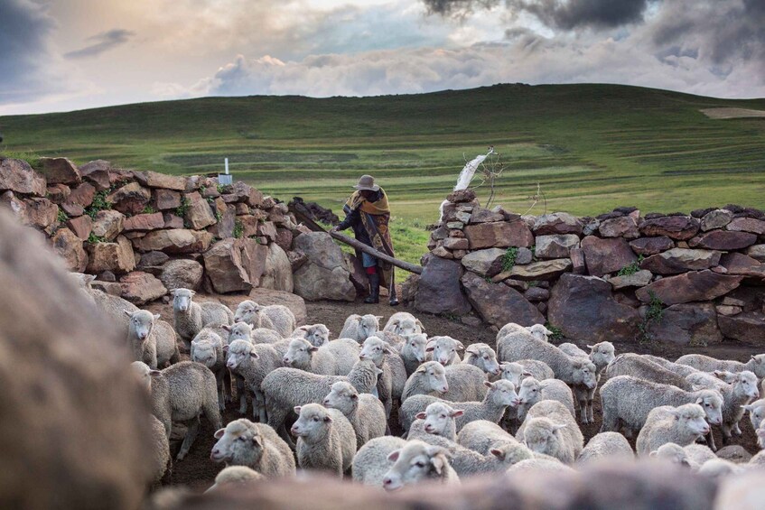 Picture 14 for Activity Lesotho: Sani Pass One Night Special 3