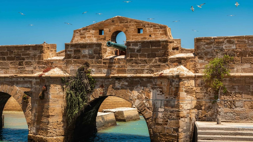 Picture 1 for Activity Essaouira Day Trip from Agadir, Medina & Atlantic Coast 4