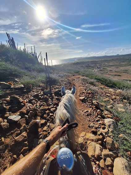 Picture 15 for Activity Sunset Horseback ride 1 1/2 hours 2