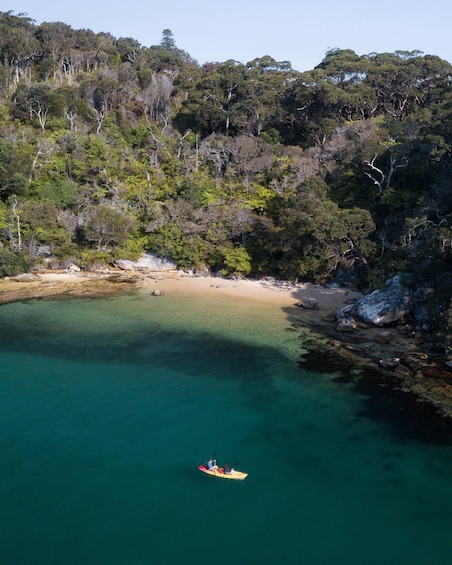 Picture 12 for Activity Double Kayak Hire in Manly - 4 Hours - For 2 2