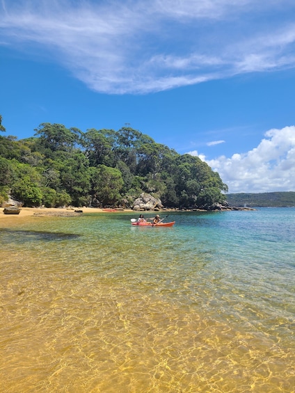 Picture 10 for Activity Double Kayak Hire in Manly - 4 Hours - For 2 5