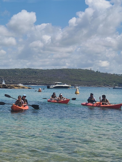 Picture 3 for Activity Double Kayak Hire in Manly - 4 Hours - For 2 4