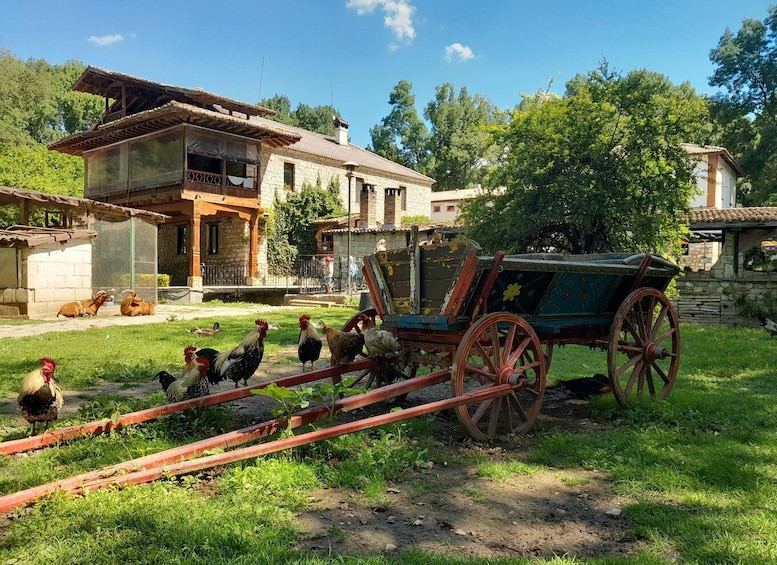 Une scène champêtre typique, avec une maison en bois, des poules et une vieille charrette. 1