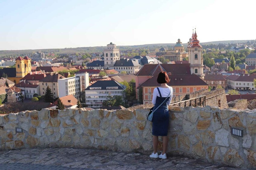 Picture 20 for Activity Eger, private tour to home to Bull's Bood, with winetaste 3