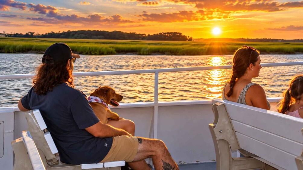 Picture 6 for Activity Hilton Head Island: Sunset Dolphin Cruise 4