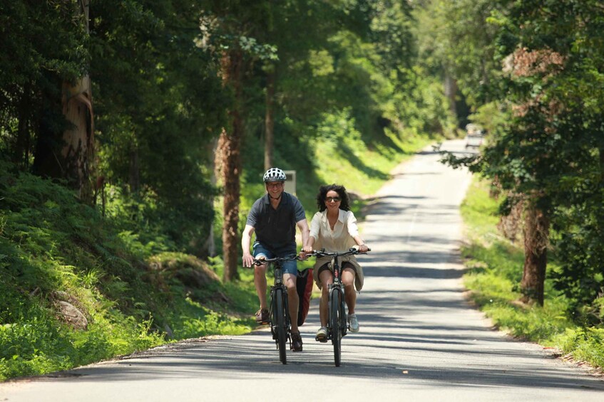 Picture 10 for Activity From Lisbon: Sintra to Cascais Full-Day E-Bike Tour 5