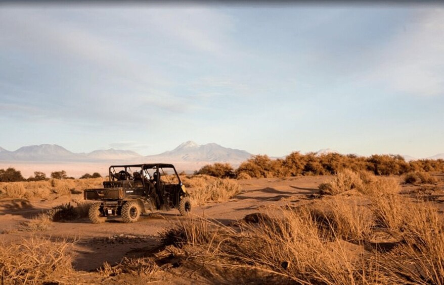 Picture 4 for Activity San Pedro de Atacama: Guided Buggy Tour Through the Desert 2
