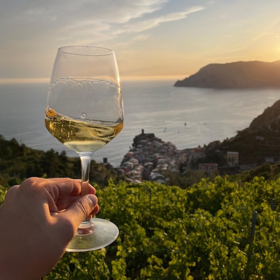 Una mano sosteniendo una copa de vino con un paisaje costero de fondo. 1