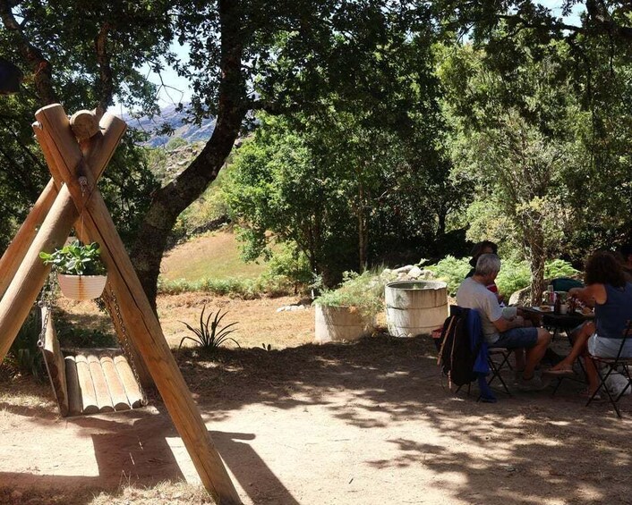 Picture 10 for Activity From Porto: Hike & Swim in Gerês National Park 5
