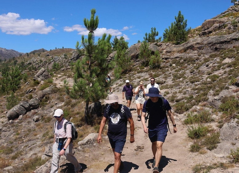 Picture 6 for Activity From Porto: Hike & Swim in Gerês National Park 4