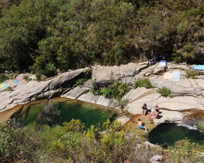 Picture 19 for Activity From Porto: Hike & Swim in Gerês National Park 2