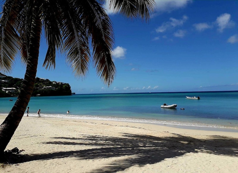 Picture 5 for Activity Grenada: Culture and Nature Island Tour with Chocolate & Rum 5