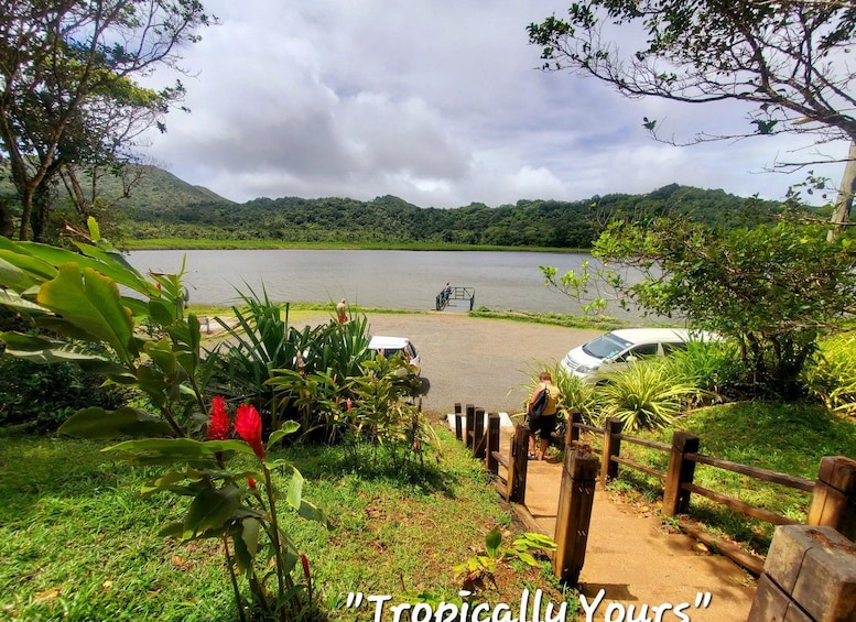 Picture 4 for Activity Grenada: Culture and Nature Island Tour with Chocolate & Rum 3