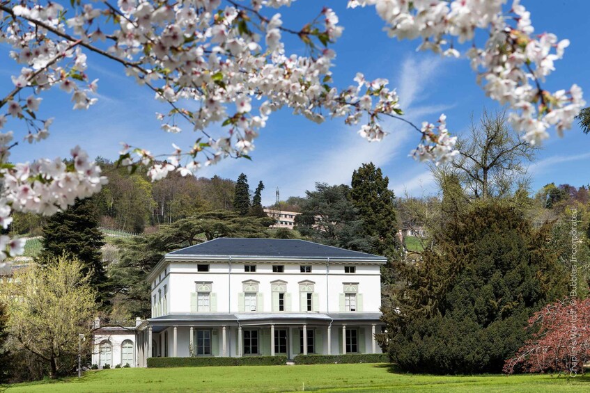 A large white building with columns, surrounded by lush greenery and flowering trees. 1