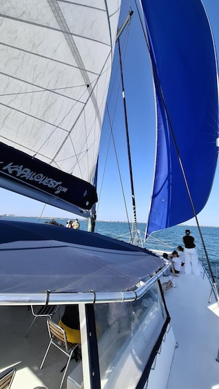 Picture 6 for Activity From La Rochelle: Sailing Cruise to Fort Boyard 2